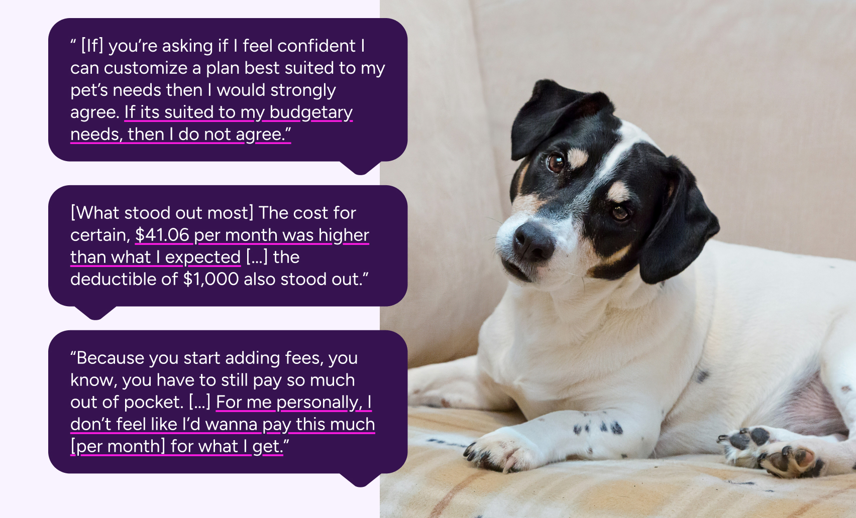 Collection of quotes from Embrace user test showing price sensitivity